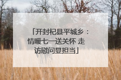 开封杞县平城乡：情暖七一送关怀 走访慰问显担当