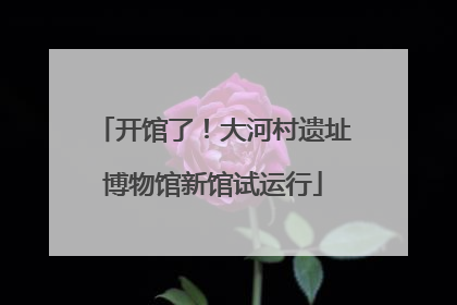 开馆了！大河村遗址博物馆新馆试运行