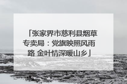 张家界市慈利县烟草专卖局：党旗映照风雨路 金叶情深暖山乡