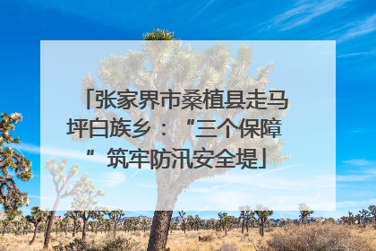 张家界市桑植县走马坪白族乡：“三个保障”筑牢防汛安全堤