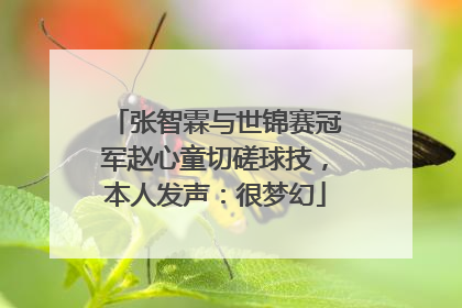 张智霖与世锦赛冠军赵心童切磋球技，本人发声：很梦幻