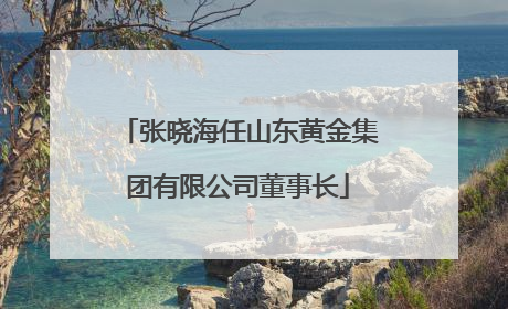 张晓海任山东黄金集团有限公司董事长