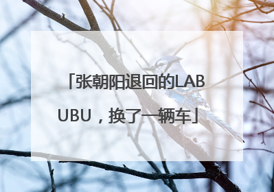 张朝阳退回的LABUBU，换了一辆车