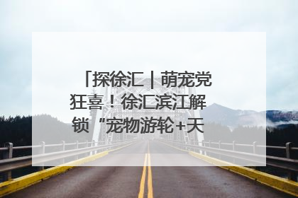 探徐汇｜萌宠党狂喜！徐汇滨江解锁“宠物游轮+天台乐园”双玩法