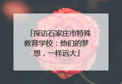 探访石家庄市特殊教育学校：他们的梦想，一样远大