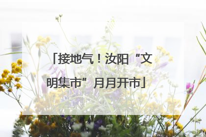 接地气！汝阳“文明集市”月月开市