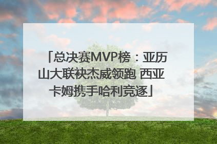 总决赛MVP榜：亚历山大联袂杰威领跑 西亚卡姆携手哈利竞逐