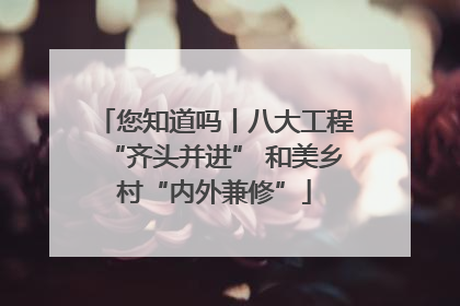 您知道吗丨八大工程“齐头并进” 和美乡村“内外兼修”