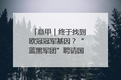 意甲｜终于找到欧冠冠军基因？“蓝黑军团”聘请国米名宿齐沃执教