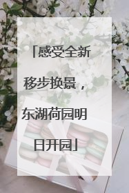 感受全新移步换景，东湖荷园明日开园