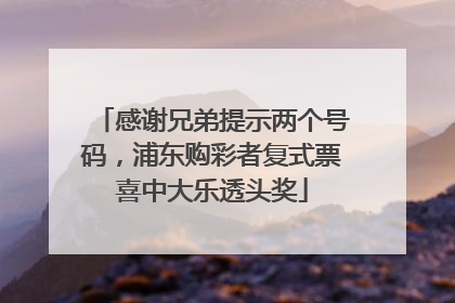 感谢兄弟提示两个号码，浦东购彩者复式票喜中大乐透头奖
