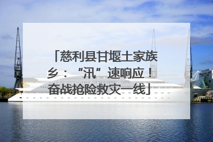 慈利县甘堰土家族乡：“汛”速响应！奋战抢险救灾一线
