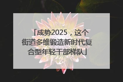 成势2025，这个街道多维锻造新时代复合型年轻干部梯队
