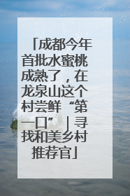 成都今年首批水蜜桃成熟了，在龙泉山这个村尝鲜“第一口”｜寻找和美乡村推荐官