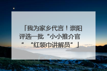 我为家乡代言！崇阳评选一批“小小推介官”“红领巾讲解员”