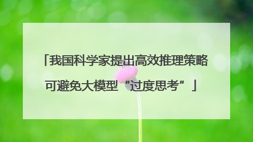 我国科学家提出高效推理策略 可避免大模型“过度思考”