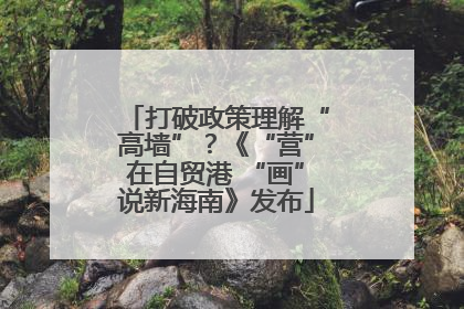 打破政策理解“高墙”？《“营”在自贸港 “画”说新海南》发布