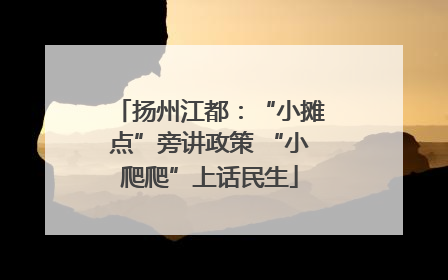 扬州江都：“小摊点”旁讲政策 “小爬爬”上话民生