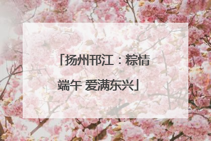 扬州邗江：粽情端午 爱满东兴