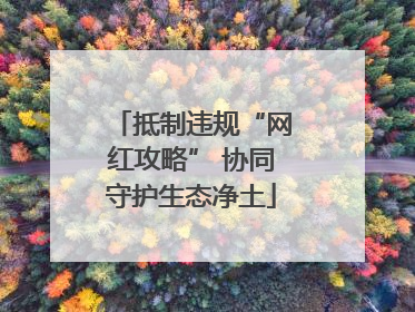 抵制违规“网红攻略” 协同守护生态净土