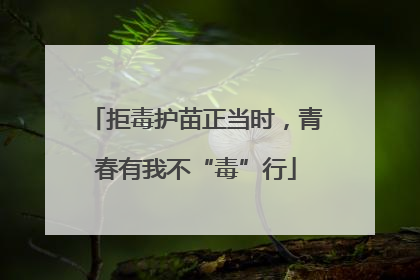 拒毒护苗正当时，青春有我不“毒”行