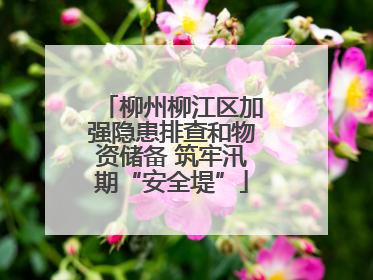 柳州柳江区加强隐患排查和物资储备 筑牢汛期“安全堤”
