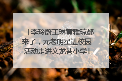 李玲蔚王琳黄雅琼都来了，元老明星进校园活动走进文龙巷小学