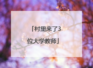 村里来了3位大学教师