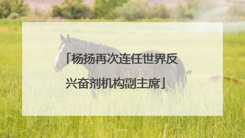 杨扬再次连任世界反兴奋剂机构副主席