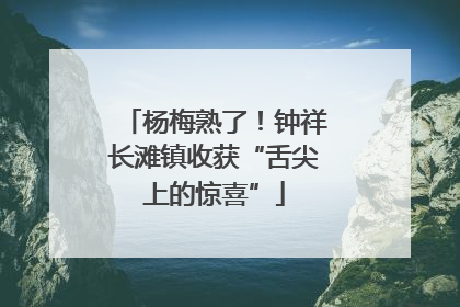 杨梅熟了！钟祥长滩镇收获“舌尖上的惊喜”