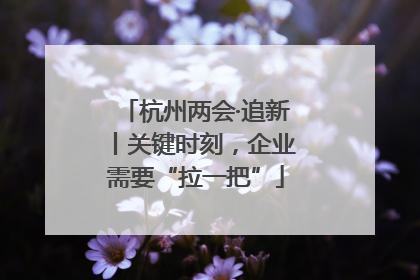 杭州两会·追新丨关键时刻，企业需要“拉一把”