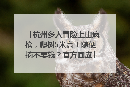 杭州多人冒险上山疯抢，爬树5米高！随便摘不要钱？官方回应