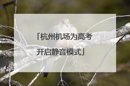 杭州机场为高考开启静音模式
