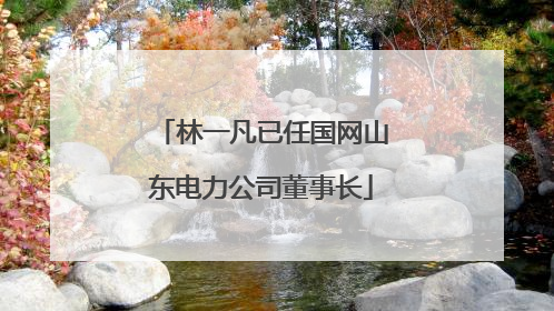 林一凡已任国网山东电力公司董事长