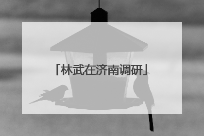 林武在济南调研