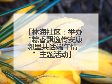 林海社区：举办“粽香飘逸传安康 邻里共话端午情”主题活动
