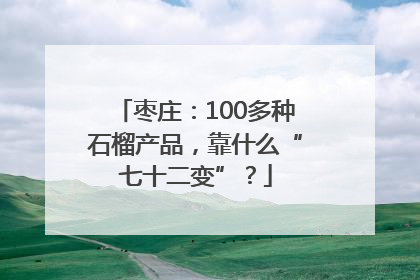 枣庄：100多种石榴产品，靠什么“七十二变”？