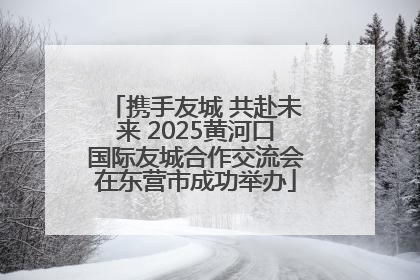 携手友城 共赴未来 2025黄河口国际友城合作交流会在东营市成功举办