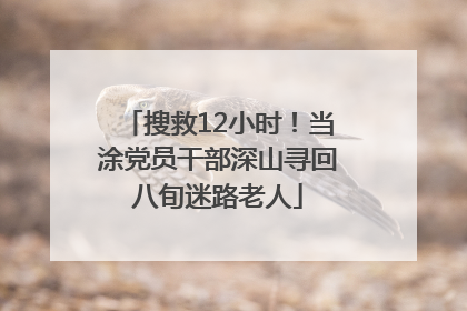 搜救12小时！当涂党员干部深山寻回八旬迷路老人