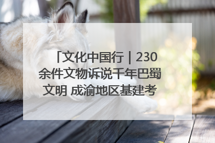 文化中国行｜230余件文物诉说千年巴蜀文明 成渝地区基建考古成果展开展
