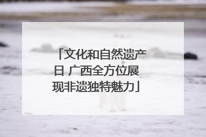 文化和自然遗产日 广西全方位展现非遗独特魅力