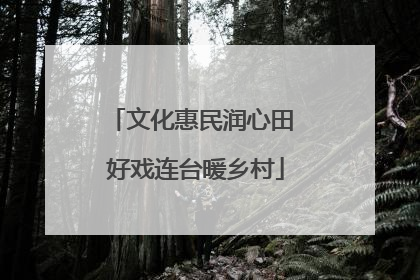 文化惠民润心田 好戏连台暖乡村