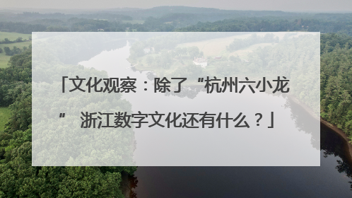文化观察：除了“杭州六小龙” 浙江数字文化还有什么？