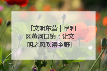 文明东营｜垦利区黄河口镇：让文明之风吹遍乡野