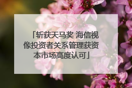 斩获天马奖 海信视像投资者关系管理获资本市场高度认可