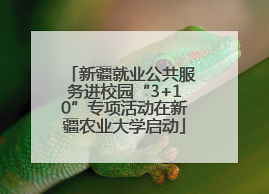 新疆就业公共服务进校园“3+10”专项活动在新疆农业大学启动