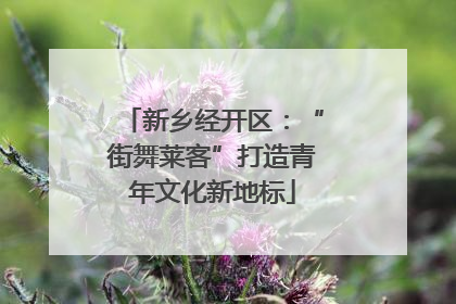 新乡经开区：“街舞莱客”打造青年文化新地标
