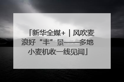 新华全媒+｜风吹麦浪好“丰”景——多地小麦机收一线见闻