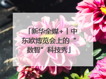 新华全媒+丨中东欧博览会上的“数智”科技秀