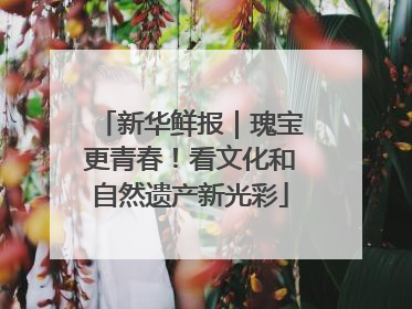 新华鲜报｜瑰宝更青春！看文化和自然遗产新光彩